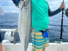 makrela Commersonova - king mackerel ulovena na privlac
