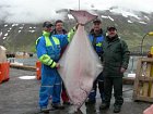 halibut 88 kg