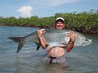 tarpon uloveny v T-flats u mangrovu