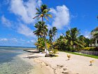 Belize - palmy na pobrezi ostrova
