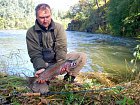 pstruh duhovy - rainbow trout 62 cm