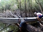 pretahovani rybarske lode pres padle kmeny cestou na lagunu