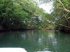 pobrezi poloostrova Azuero - reka a porosty mangrovu