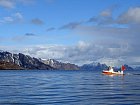 dubnovy lov tresek-skrei ve Vestfjordu