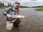 losos cavyca - king salmon uloveny na musku
