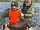halibut z Aldersund, cerven