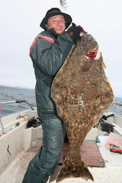 halibut 30 kg, ostrov Senja