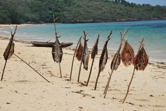 suseni ryb na plazi, Madagaskar