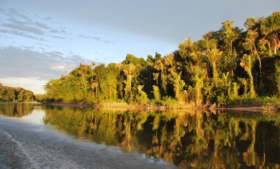 reky obklopuje tropicky prales