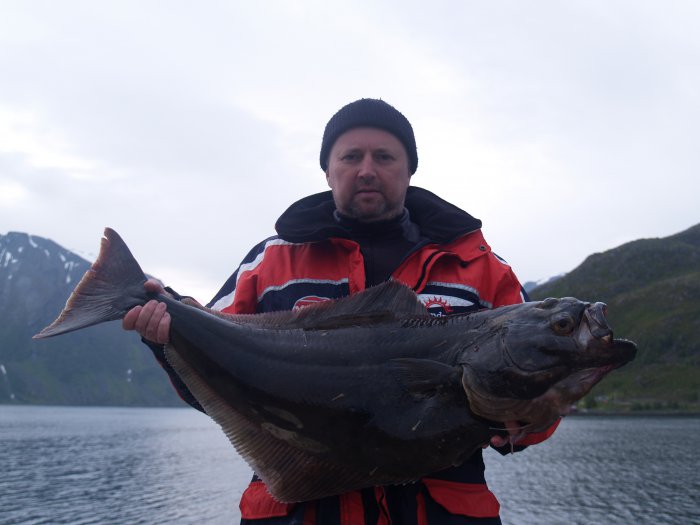 Halibut 200 m od mola :)