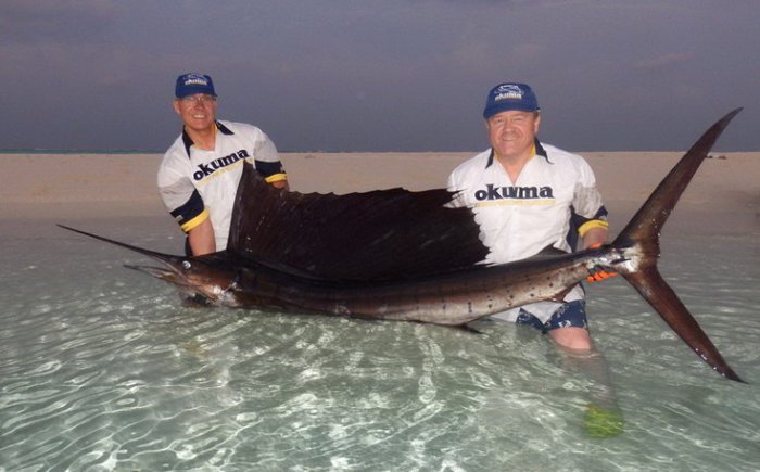 plachetník - sailfish Plachetník délky 288 cm ulovený na trolling