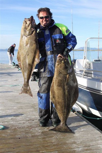 Platýs obecný - halibut Kdo umí, ten umí...