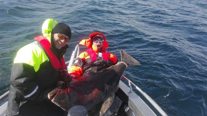 halibut šťastný lovec