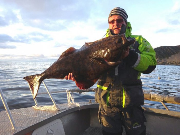 platýs obecný - halibut Lubošův první halibut