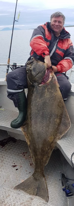 platýs obecný - halibut Dlouhá ryba, dlouhý boj