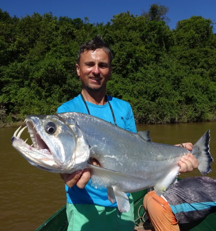 Payara - královna povodí Orinoka