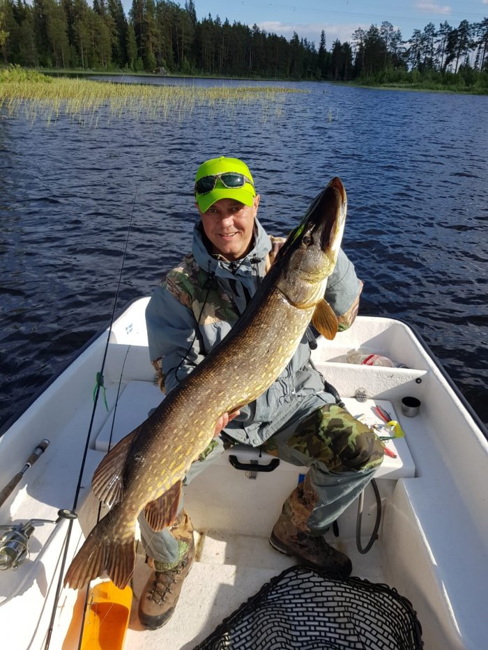 Štika obecná (Esox lucius) Stotřináctka v lodi