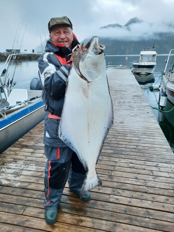 platýs obecný - halibut letní halibut z Loppy