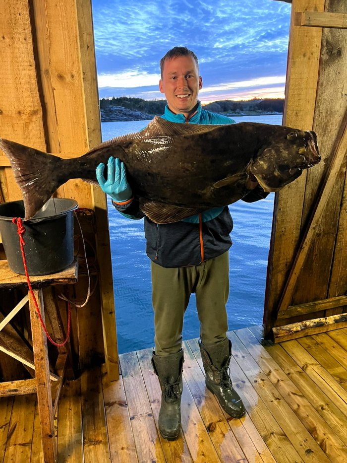 Halibut Halibut
