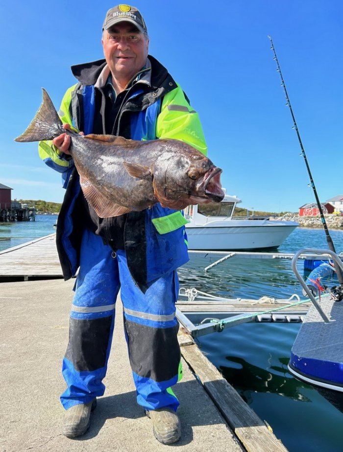 platýs obecný - halibut Norsku sluší modrá