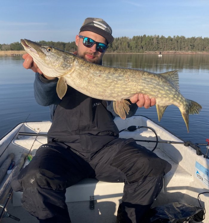 štika obecná Jarní štika z Nordqvist