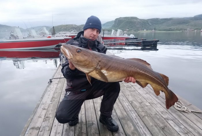treska obecná Treska obecná délky 127 cm