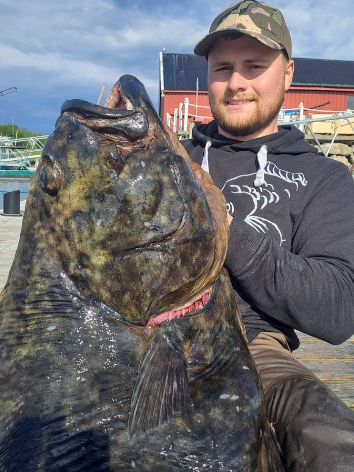 platýs obecný - halibut 160 cm radosti