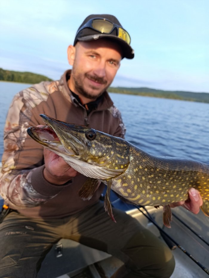 štika obecná Letní štika z Giman