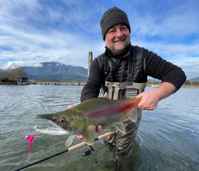 losos nerka - sockeye salmon Sunny sockeye