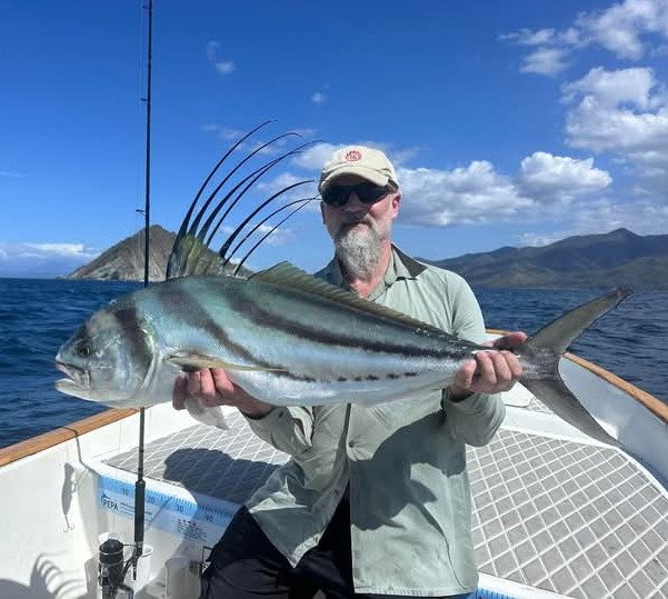 kohoutovec - roosterfish Kohoutovec - ryba, které na vizáži záleží