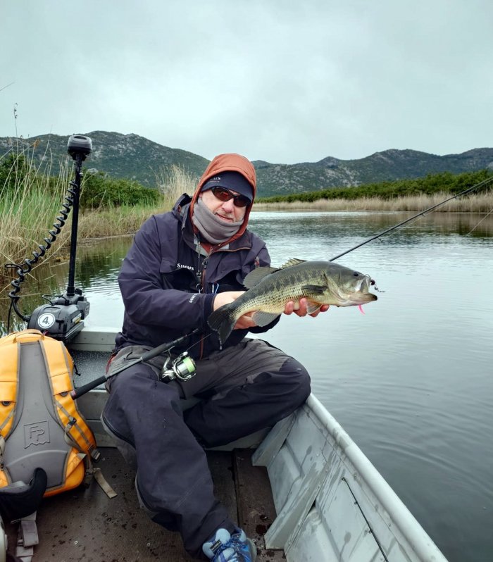 okounek pstruhový - black bass okounek pstruhový 48 cm