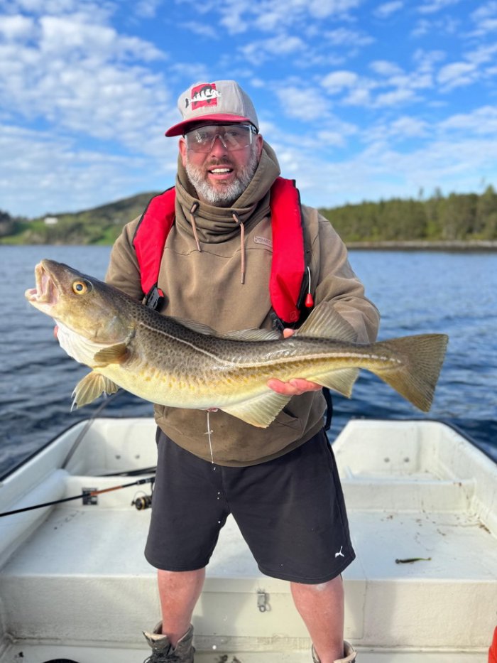 treska obecná Jarní treska z Tingvollfjordu