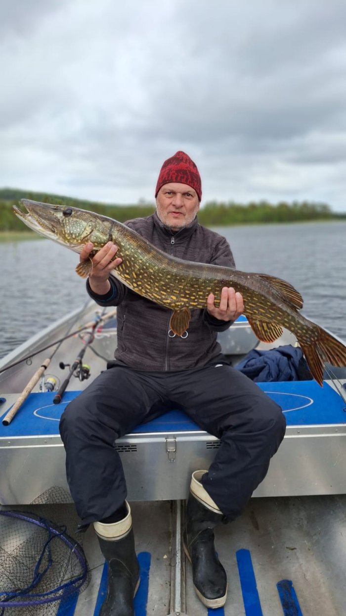 Štika z průtočného jezera