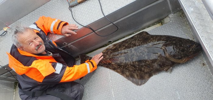 platýs obecný - halibut Tenhle bude k večeři.