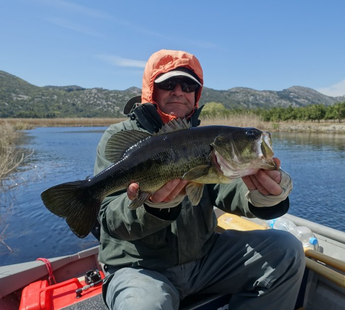 Pro lov black bassů je ideální teplé počasí