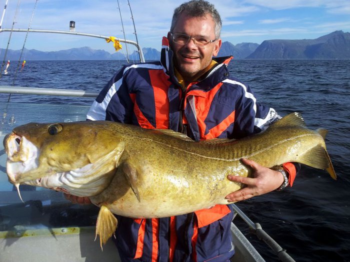treska obecná treska obecná délky 128 cm