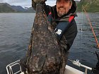halibut, srpen v kraji Finnmark, foto Milan WISO