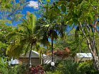 Latanier Bleus - bungalovy v zahrade