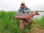 losos cavyca-king, 10 kg - Cinder river