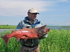 losos cavyca-king, 12 kg - Cinder river