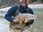 mahseer - Tor putitora uloveny na wobbler