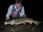 mahseer 12-16 kg uloveny na musku vecer 25.2.