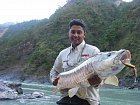 mahseer uloveny na wobbler