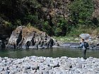 jarni muskareni na rece Ramganga