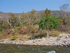 reka Ramganga v Narodnim parku Corbett