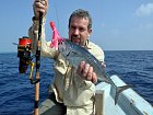 bonito - tunacek nepravy