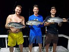 kranasi velkooci (bigeye jack) uloveni vecer na privlac