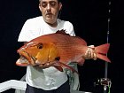 chnapal - red snapper uloveny na polozenou