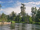 Cottonwood - reka Lake Creek