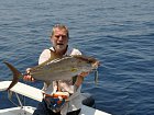 kranas oceansky - amberjack